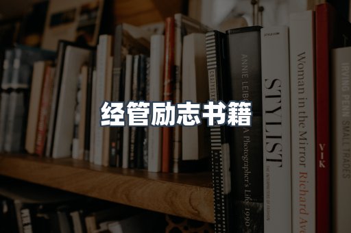 外文电子书系列